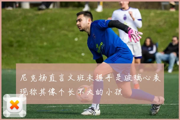 尼克杨直言文班未握手是玻璃心表现称其像个长不大的小孩