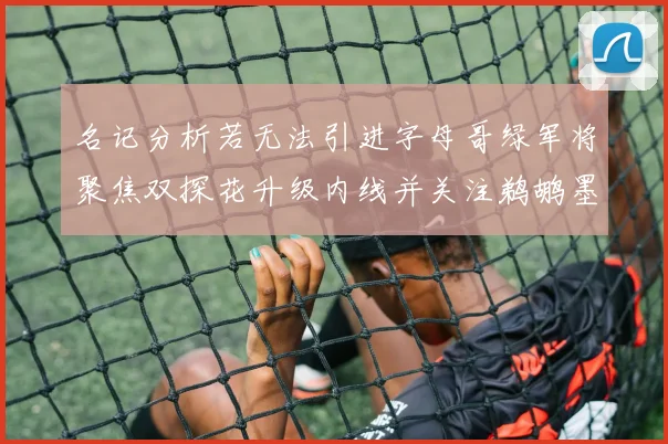 名记分析若无法引进字母哥绿军将聚焦双探花升级内线并关注鹈鹕墨菲