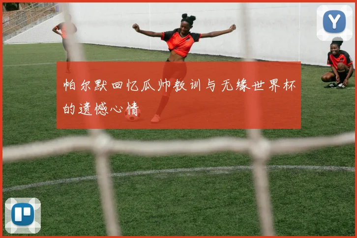 帕尔默回忆瓜帅教训与无缘世界杯的遗憾心情